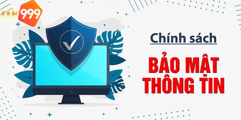 Những thông tin được chính sách bảo mật DF999 thu thập